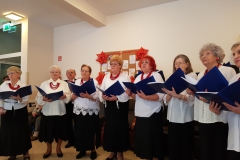 Dom_Seniora_Bryza_Koncert_koled4