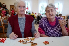 DomSeniora_Bryza_Dom_Opieki-15