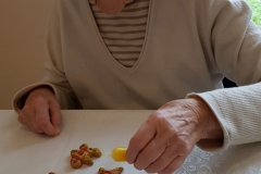 DomSeniora_Bryza_Dom_Opieki-35