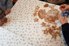 Dom_Opieki_Pierniki5