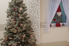 Dom_Seniora_Bryza_Swieta_w_Bryzie_20193